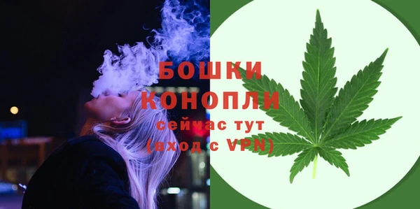 винт Пересвет