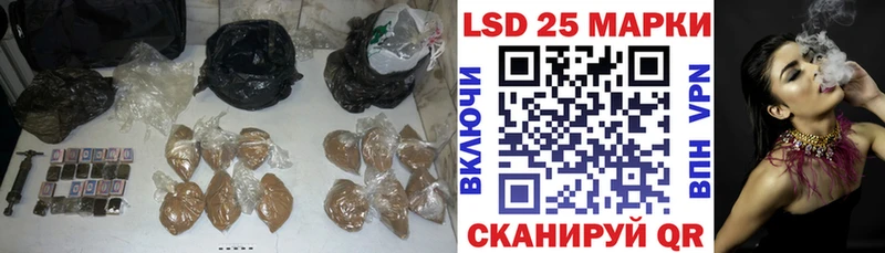 LSD-25 экстази ecstasy  купить  цена  Заинск 