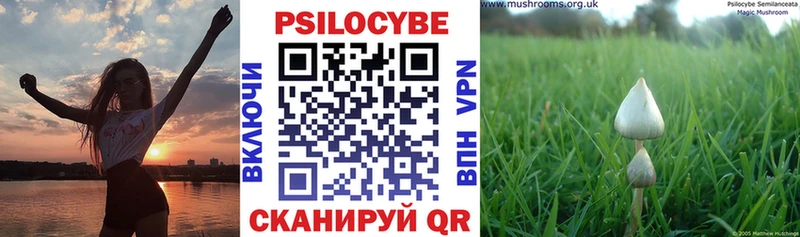 Псилоцибиновые грибы мицелий  Заинск 
